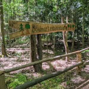 papan nama jalur pepohonan (Baumartenlehrpfad) Spandauer Forst