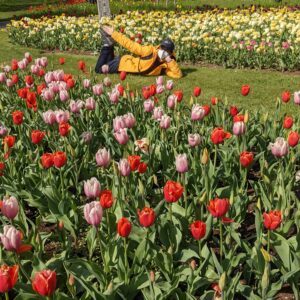 berada di Taman Tulip Britzer Garten, Berlin