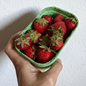 stroberi Karl's seberat 250 gram dalam wadah yang terbuat dari kertas