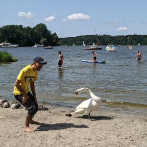 angsa dan bebek adalah salah satu daya tarik Pantai Lieper Bucht
