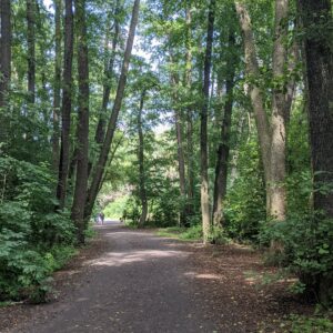 menuju ke Menara Grunewald