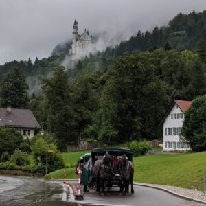 kereta kuda di area Hohenschwangau kereta kuda di area Hohenschwangau
