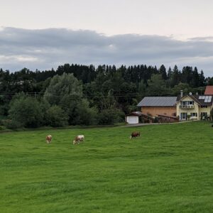 pemandangan menuju Füssen pemandangan menuju Füssen