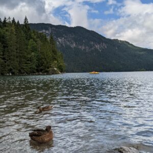 bebek di Danau Eibsee
