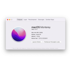 informasi sistem Mac Mini M1 menggunakan macOS Monterey 12.0.1