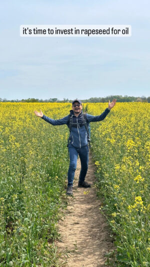 di ladang Bunga Raps