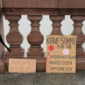 poster bertuliskan, "tidak ada tempat untuk Antidemokrat Fasisdoids Dungu (AFD)"